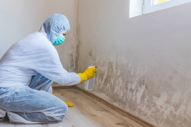 Hvac And Air Duct Mold Remediation inspection of HVAC system in Jamestown